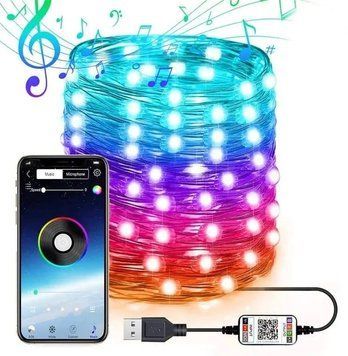 Новорічна розумна світлодіодна гірлянда Encora Xmas Lights, 100LED, 10М з керуванням через Bluetooth 2124077 фото